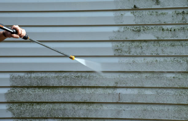 Best Mold Removal Process  in Middlebush, NJ