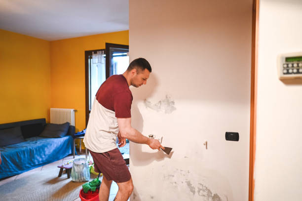 Best Local Mold Removal Service  in Middlebush, NJ